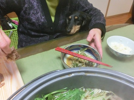 201512316.jpg