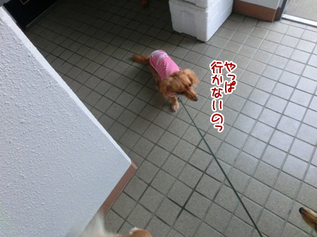 005_20140926001622b1d.jpg