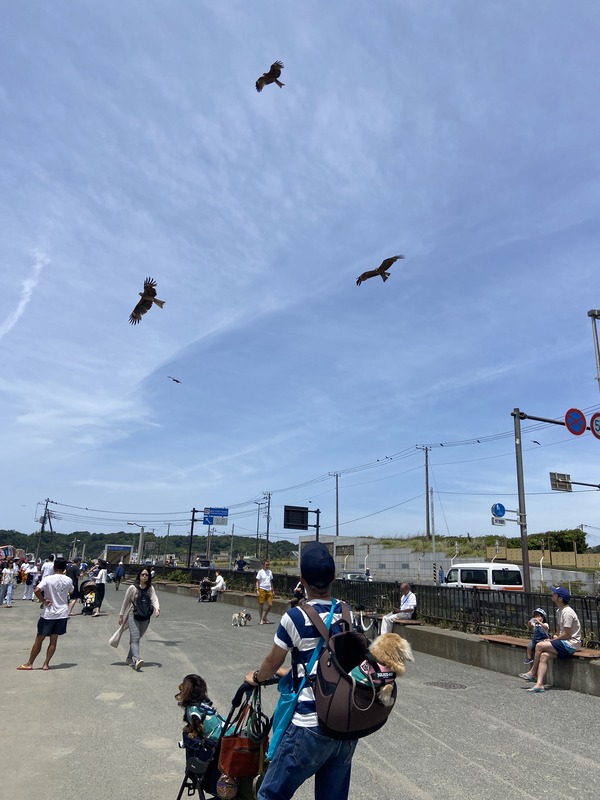 IMG_5185