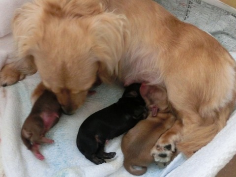 プロフィール04