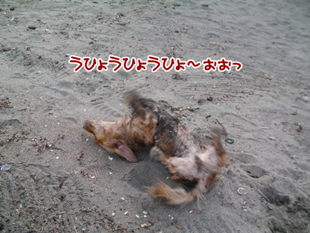 102_20110802005913.jpg