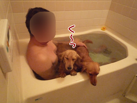 010_20120517233238.jpg