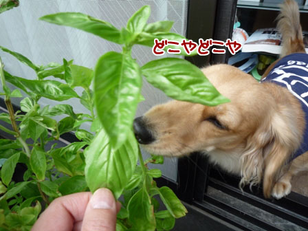 006_20111024232515.jpg