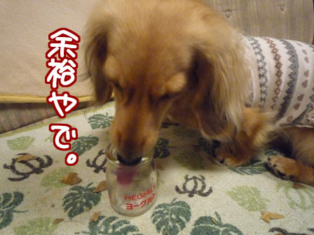 017_20110709010036.jpg