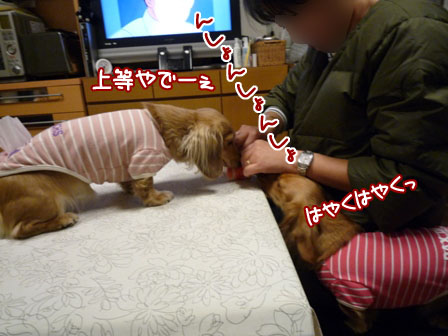 005_20120122003039.jpg