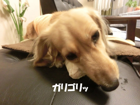 005_20120922013636.jpg