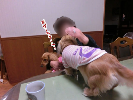 008_20121124000157.jpg