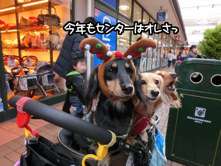 201512064.jpg