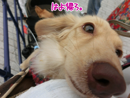 025_20150627235342dce.jpg