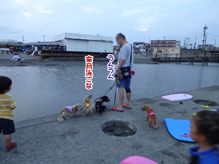 021_20150816230538af6.jpg