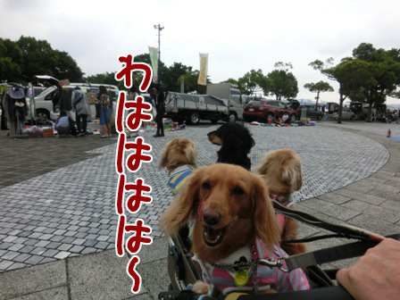 20150927020.jpg