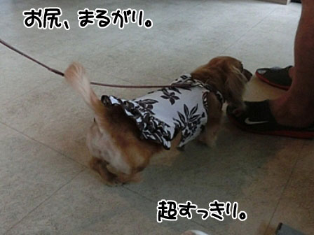 012_20130601223139.jpg
