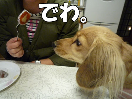 017_20120122003037.jpg
