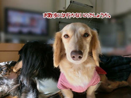 201601153.jpg