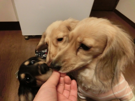 018_20131219233429251.jpg