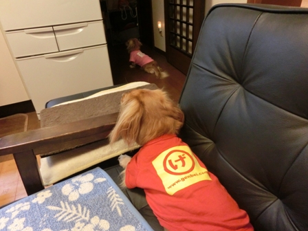 044_20120913235307.jpg