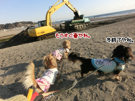 201603022.jpg