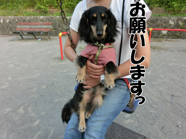 初めてのブランコで大騒ぎ メルロコ一家の横須賀ストーリー Powered By ライブドアブログ