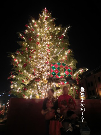 201511295.jpg