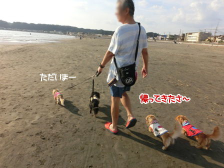 201609240261.jpg