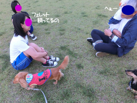 20150922038.jpg