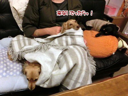201512102.jpg