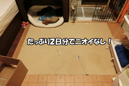 027_201308232229503fe.jpg