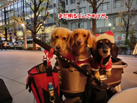 035_2013122400371874c.jpg
