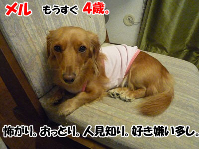 P1010361.jpg