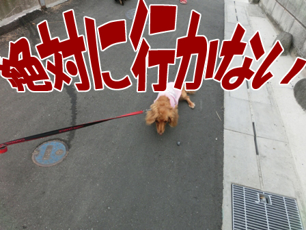 003_20140725010005edf.jpg