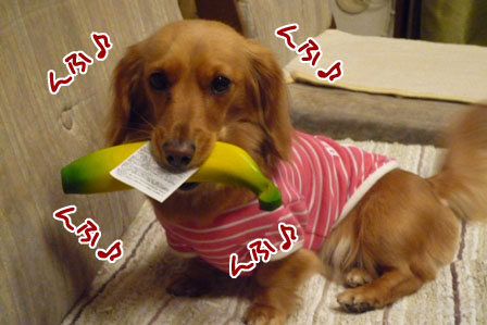 003_20120420215337.jpg