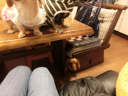 20151022023.jpg