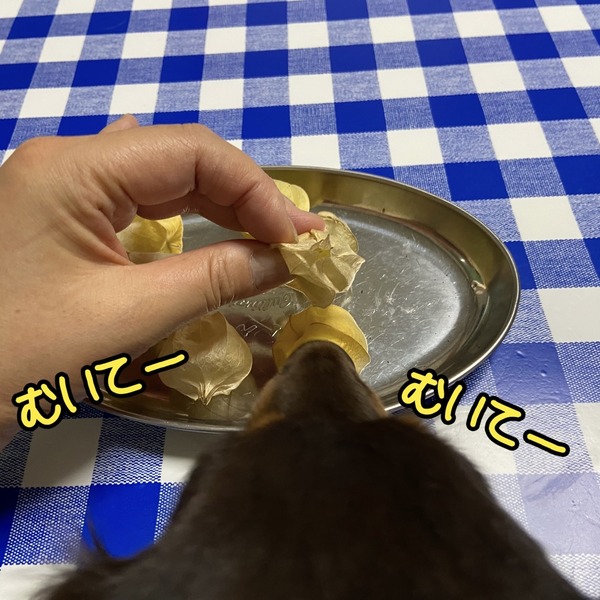 FullSizeRender