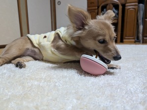 470181613_8915722608541846_8526214268226294585_n