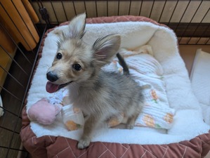 460500865_8324523097661803_5273946120977516051_n