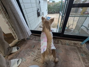 471577978_8994107444036695_4653672574037439135_n