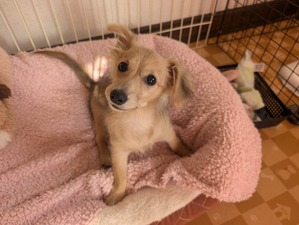 466420698_8738331829614259_8533747439341161097_n