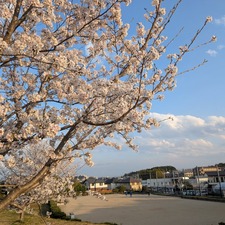 489363735_17871858561336204_5938918610663883117_n