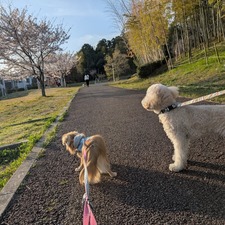 489621087_17872212984336204_1187622871378357263_n