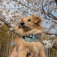 488045431_17871438720336204_1108334377427883911_n