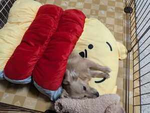 472244713_9031241090323330_8332764435099032151_n