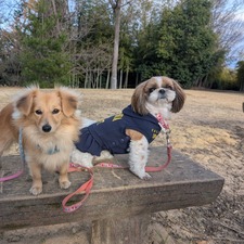 487196656_17870965821336204_26597916392735685_n