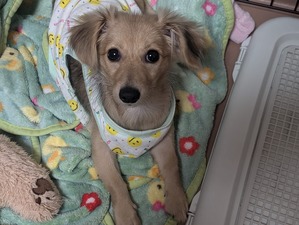 465606761_8683989318381844_6984165598197553251_n