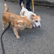 489545022_17871858588336204_6556185267406381275_n