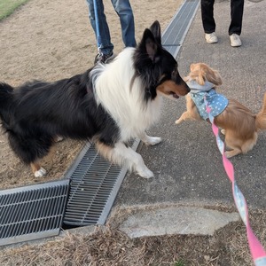 479967571_17865261792336204_7567824961268711367_n