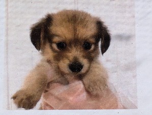 465532641_8683989761715133_6949094754341153073_n