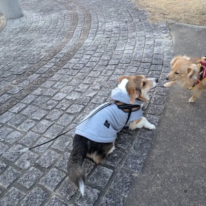 476916748_17864127048336204_3738578074083951288_n