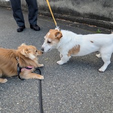 489119164_17871858552336204_2316328220217864554_n