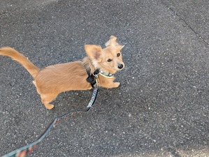 472710806_9042006459246793_7365745946875906883_n