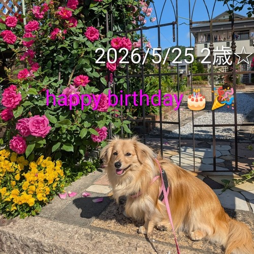 705968318_17926031670336204_860930120694293750_n